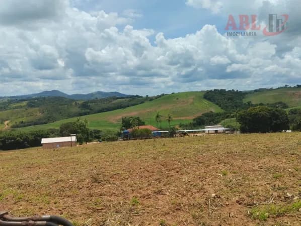 Fazenda Planta em café ou grãos, 85% ótima altitude da para irrigar toda