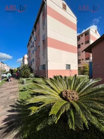 Apartamento Padrão para Venda em Rubem Berta Porto Alegre-RS