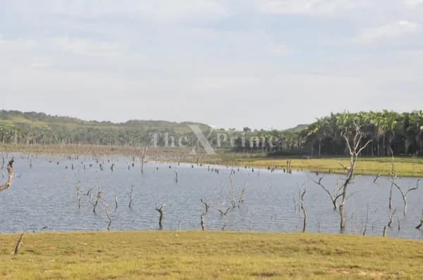 Área no Lago do Manso (Região do Quilombo)