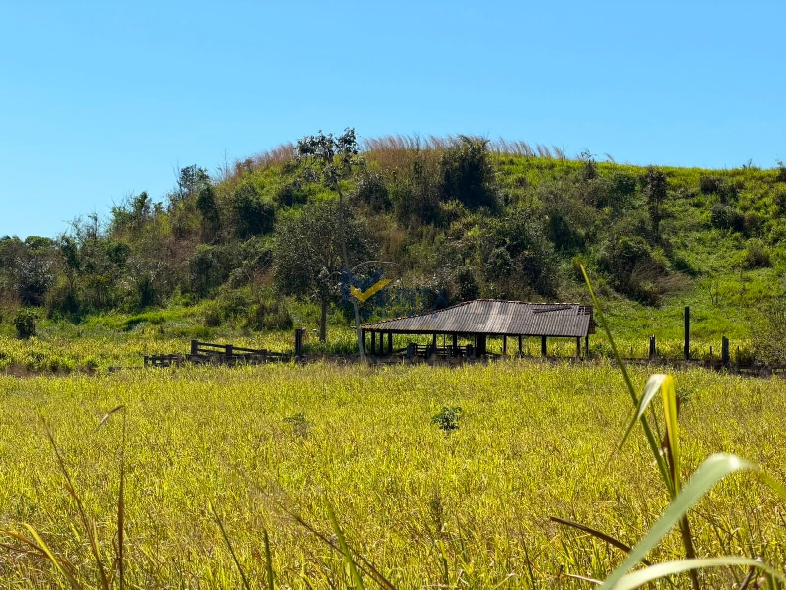 Fazenda/Sítios/Chácaras em João Lisboa - Centro