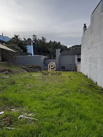 Terreno Padrão