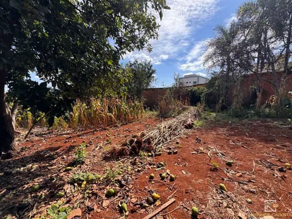 Lote/Terreno em Patos de Minas - Caramuru