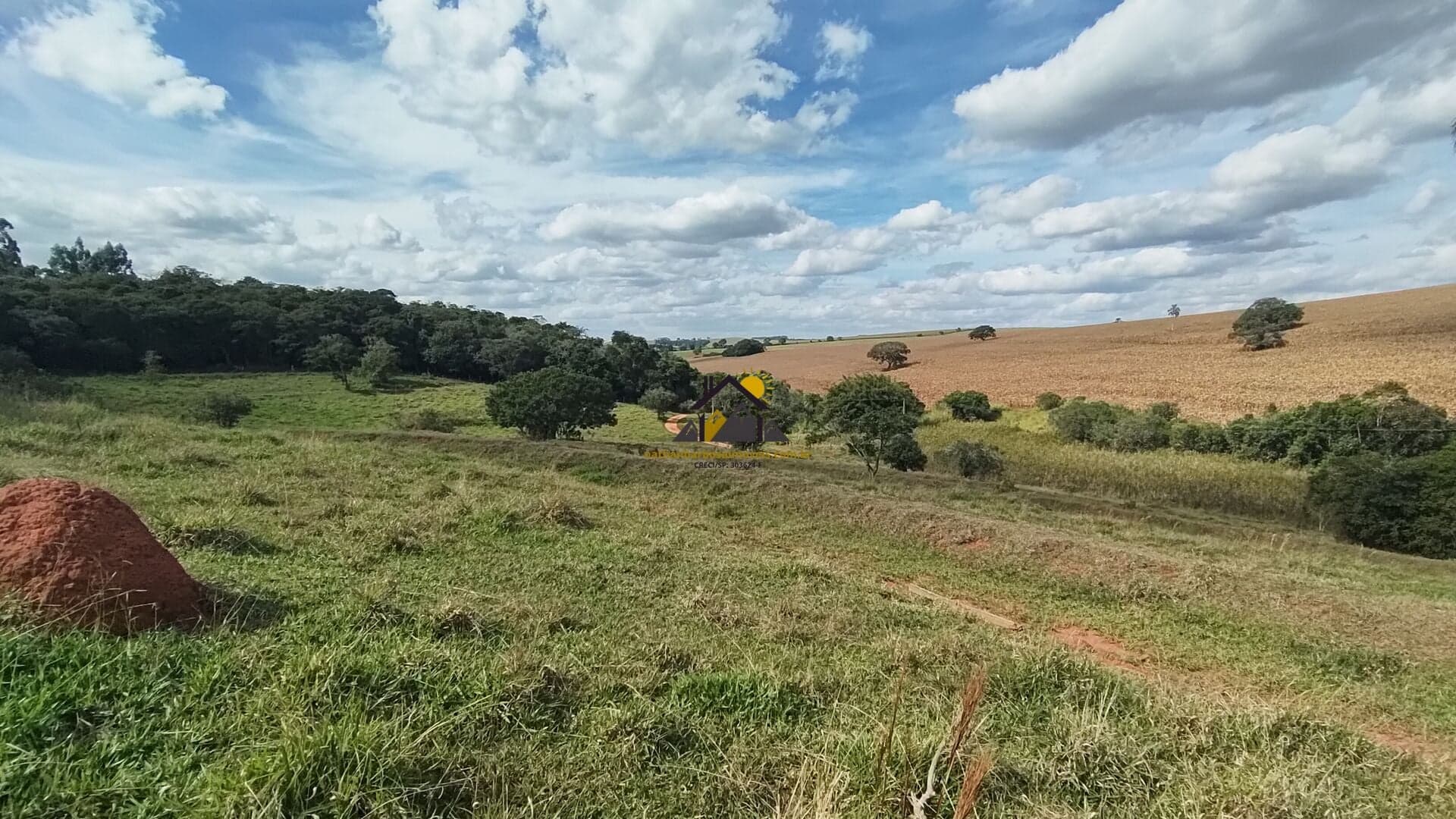 1 Alqueire Paulista - Excelente oportunidade em Pardinho/SP!