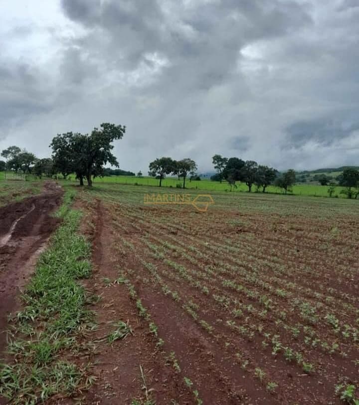 Fazenda á Venda