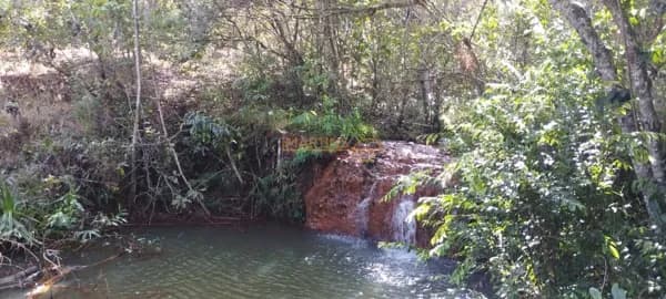 Fazenda á Venda