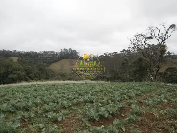 Sítio 8 alqueires a apenas 300 metros do asfalto ótima localização ideal para plantio