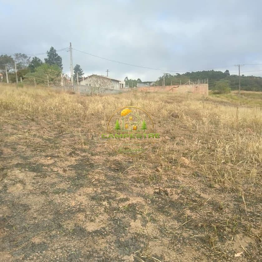 Terreno Lote na cidade de Piedade