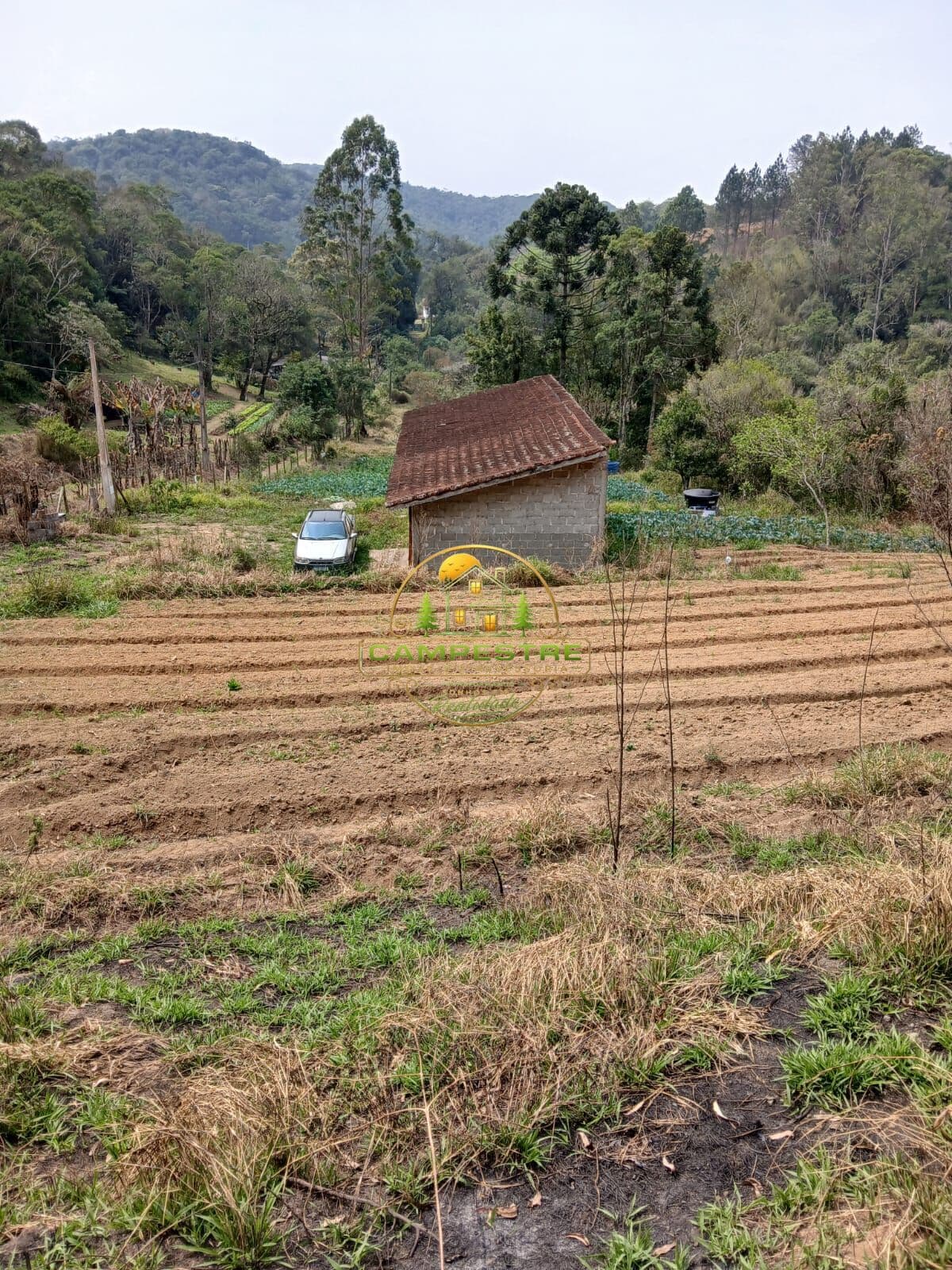 Terreno 1 Alqueire excelente para lavoura e plantio