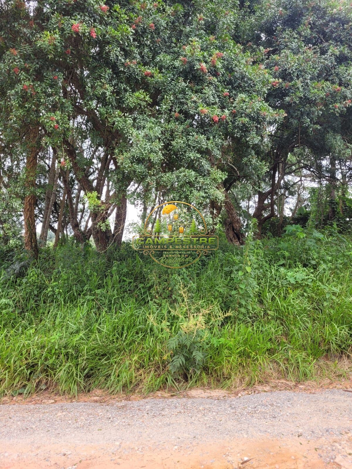 Terreno proximo a rota do vinho (São Roque) SP