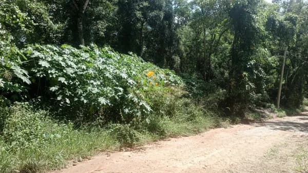 Terreno em Condomínio Fechado com acesso a represa próximo a SP