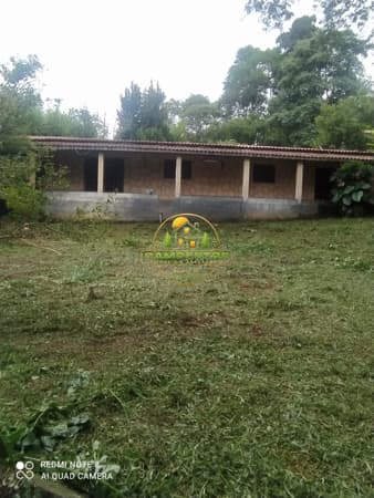 Chácara com pomar e baias para cavalos
