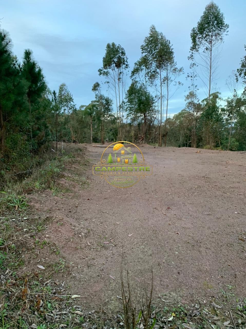 Terreno próximo a estrada do vinho (São Roque)