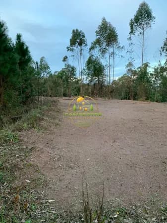 Terreno próximo a estrada do vinho (São Roque)