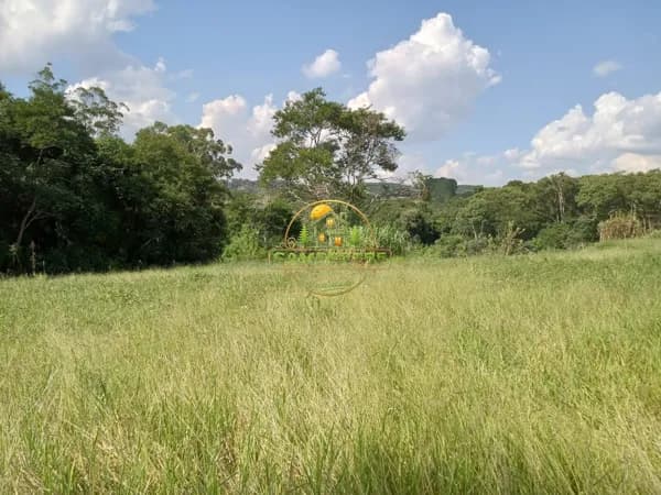 Terreno Lote de 6.341m² semi limpo no asfalto para investir ou construir