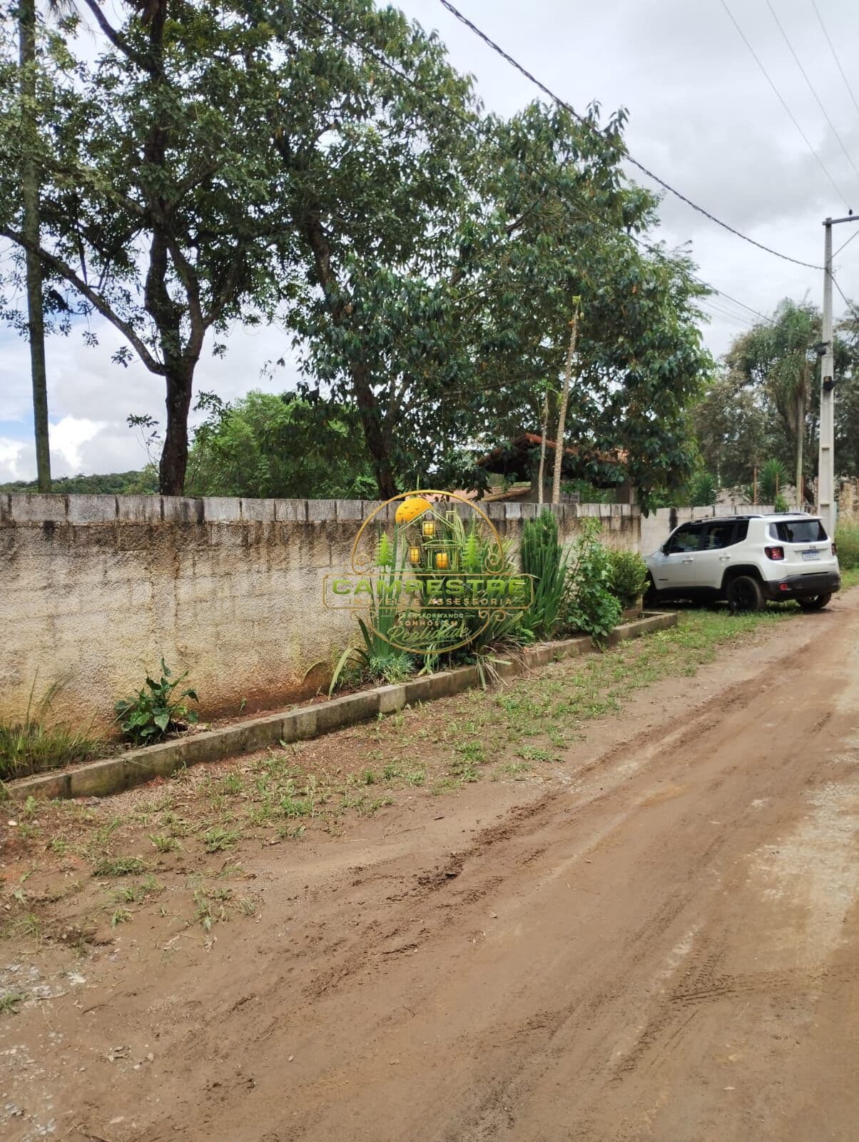 Chácara 3.100m² terreno plano com arvores frutíferas