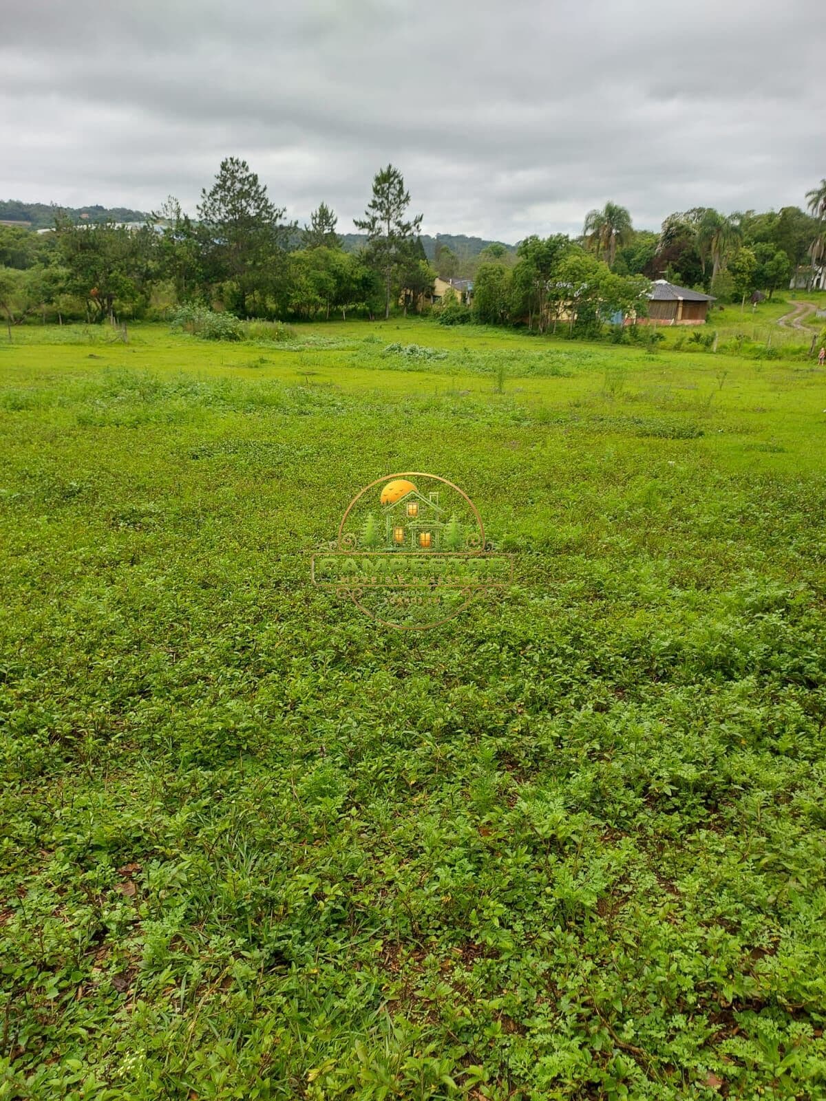 Terreno 72.000m² semi plano excelente para investir em lavoura
