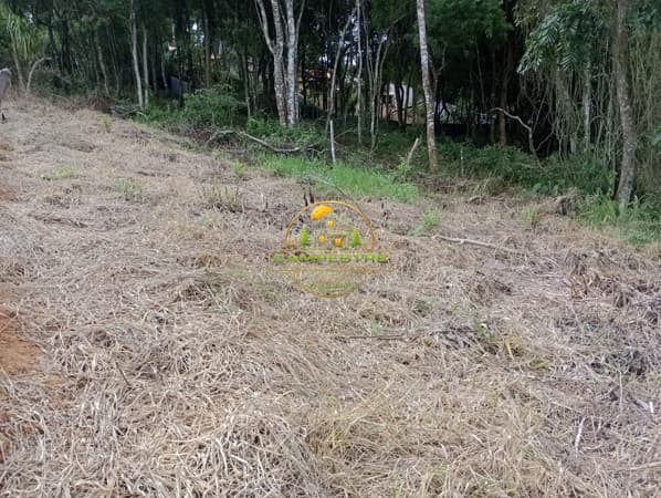 Terreno 2.000m² a 5km do centro da cidade