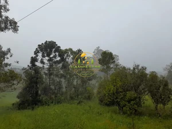 Chácara simples ideal para plantio