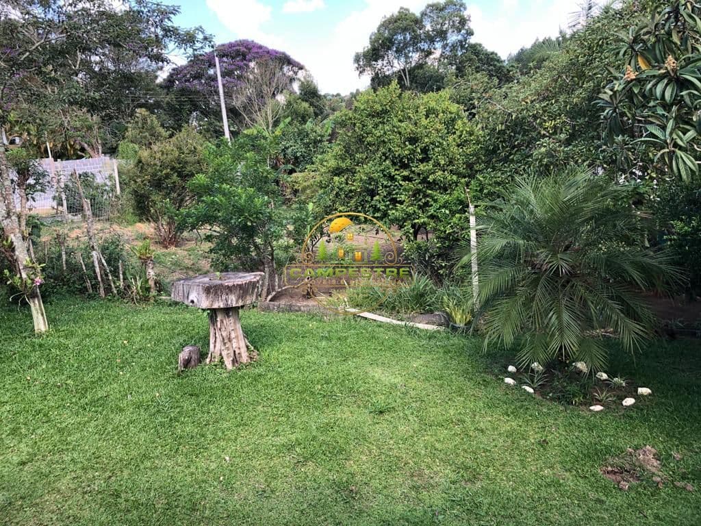 Terreno plano com lago