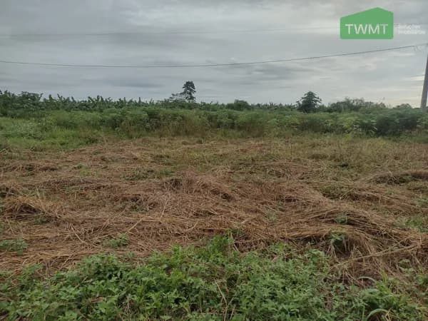 Fazenda/Sítios/Chácaras em Tangará da Serra - Centro