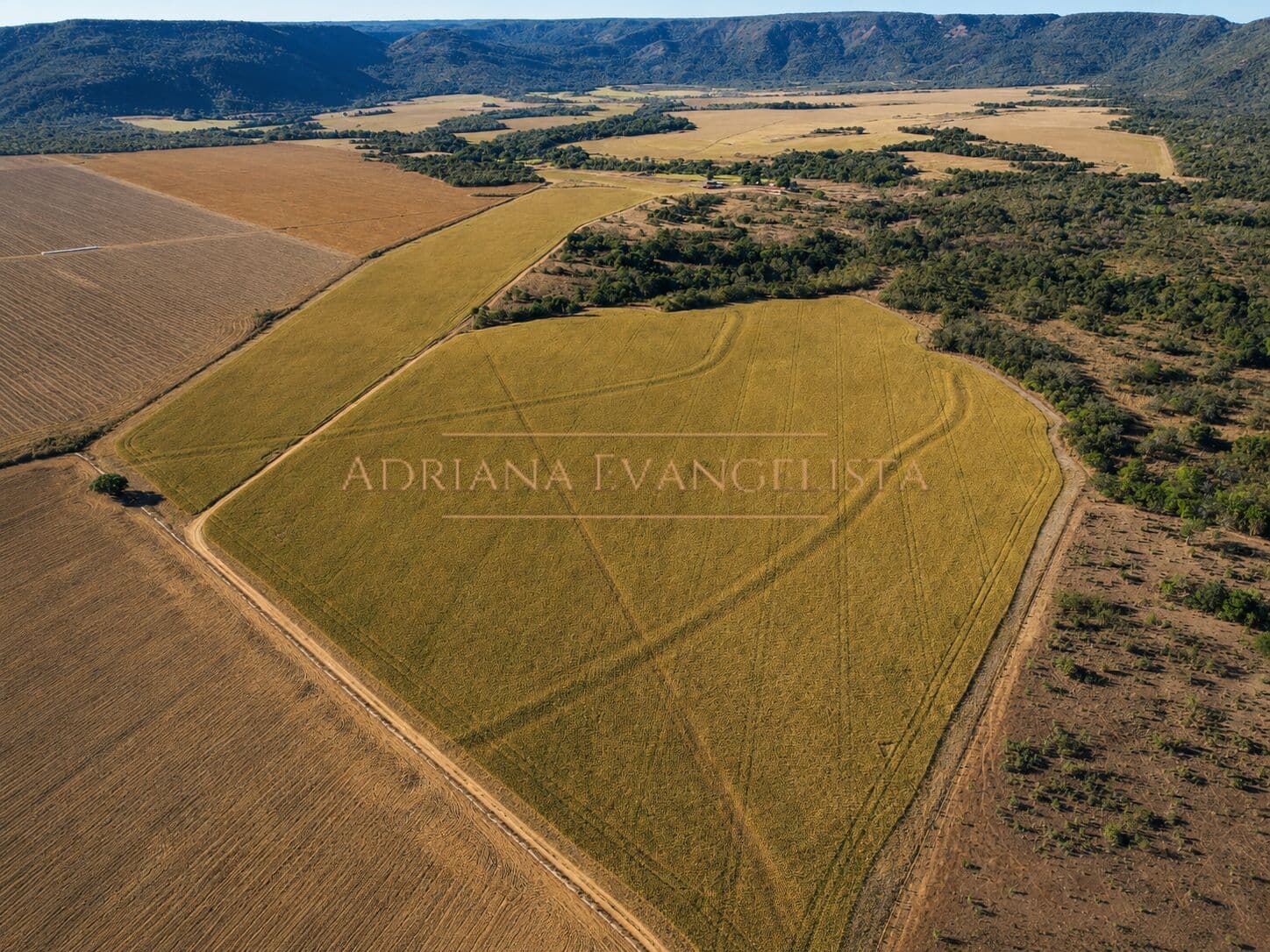 Fazenda Agrícola à Venda em Brejinho de Nazaré – Tocantins