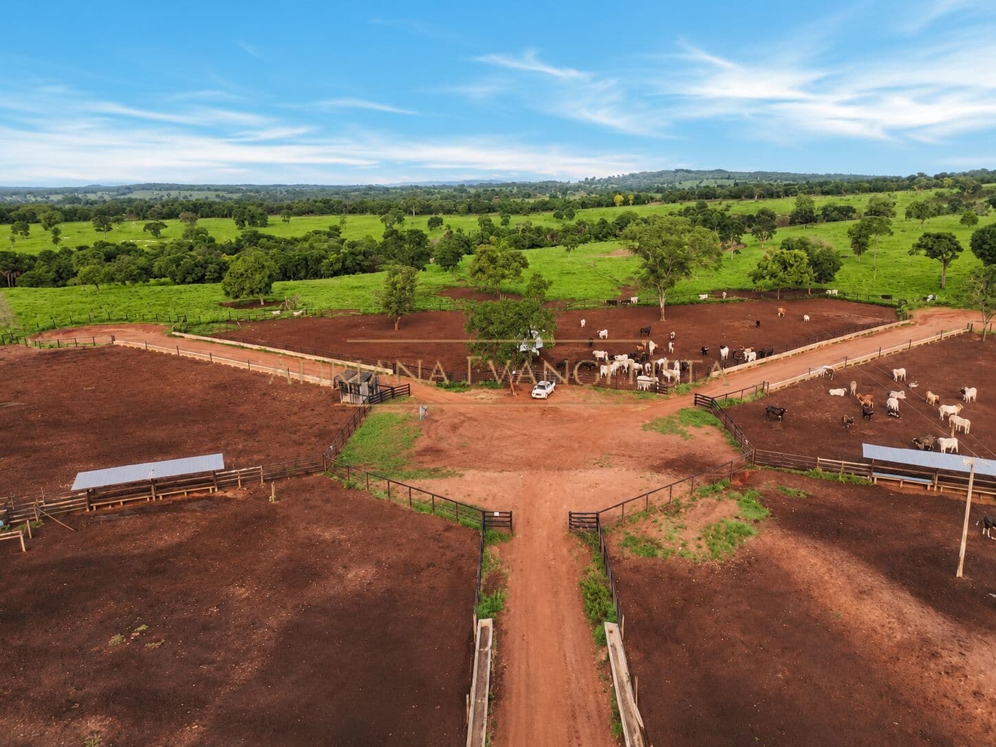 Fazenda à Venda para Pecuária Intensiva