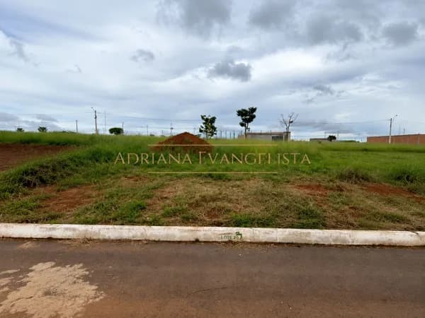Ágio de Lote no Belvedere
