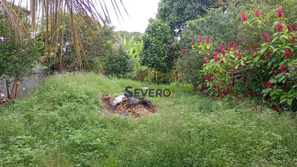 Terreno Plano Multifamiliar 675m² - Laranjal – SG.