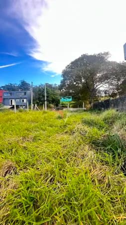 Terreno no residencial três figueiras, Viamão/RS