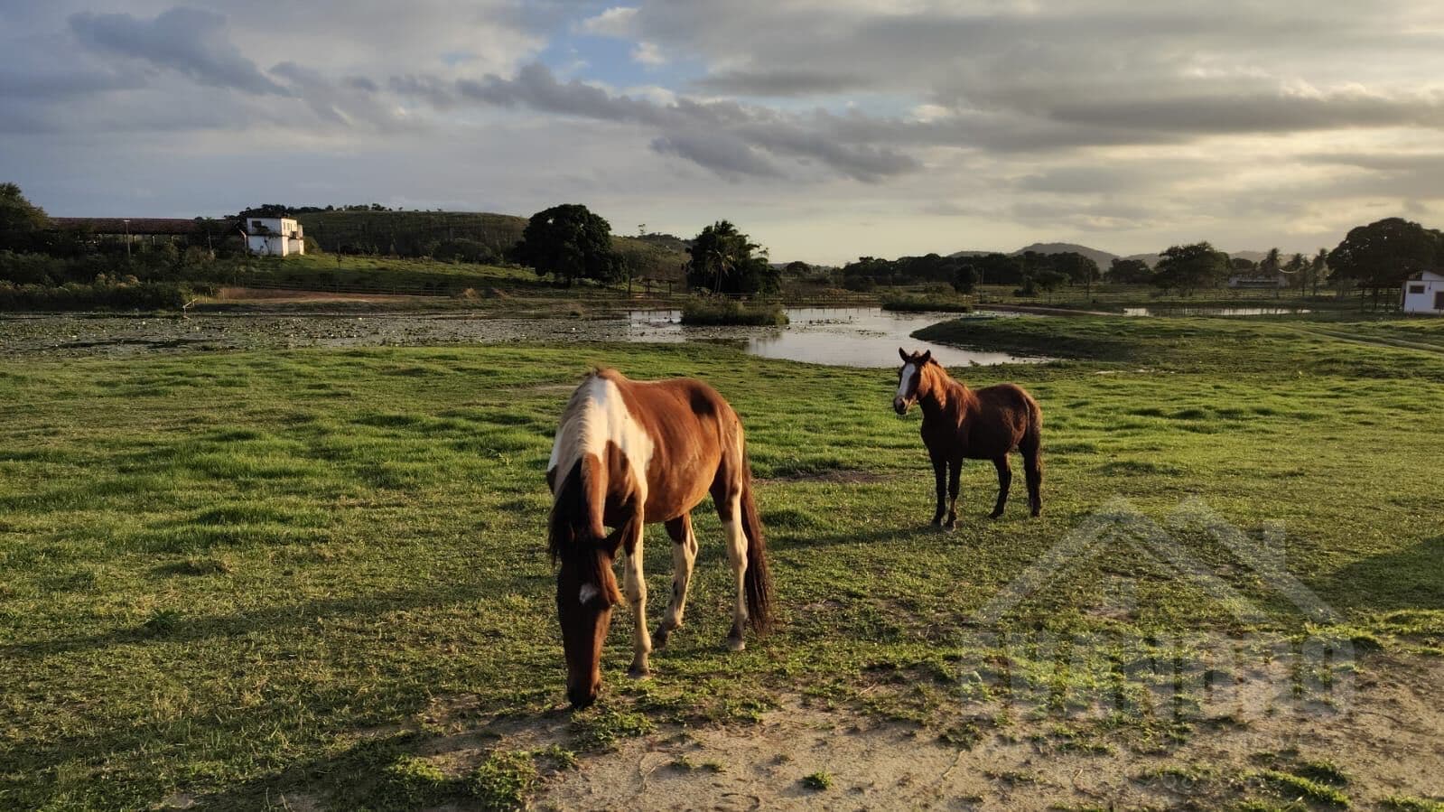 Chácara de 20mil m² com lindo lago, em Papucaia, Cachoeiras de Macacu, RJ.