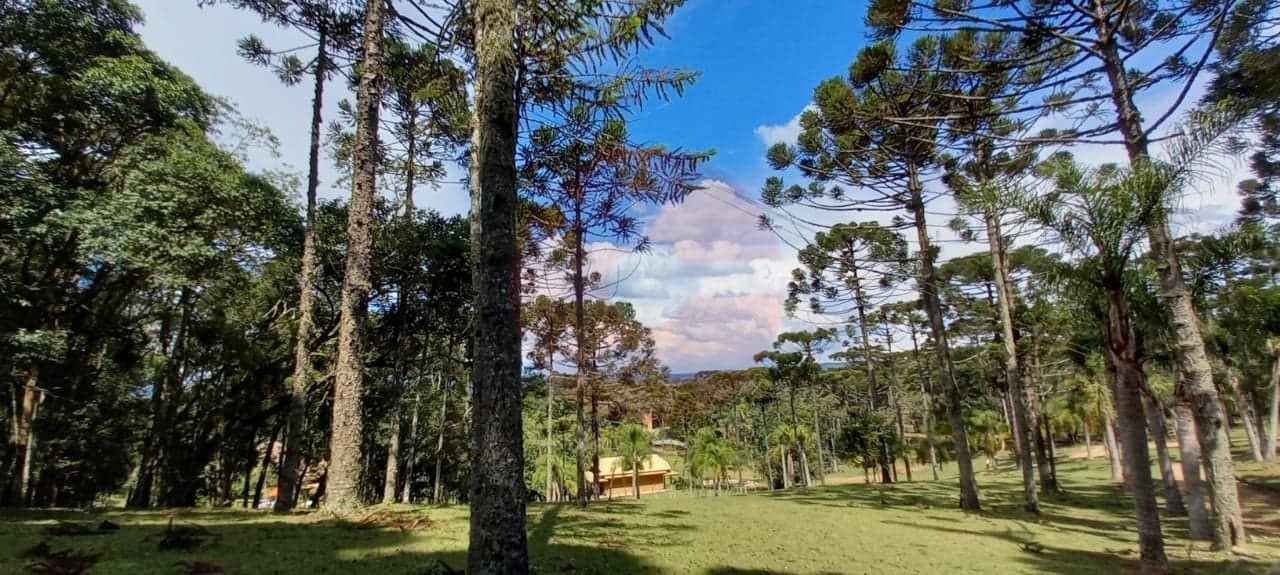 "Explore o Paraíso Verde: Refúgio na Área do Avenquinha, Campo Alegre, SC! 🌿🏡"