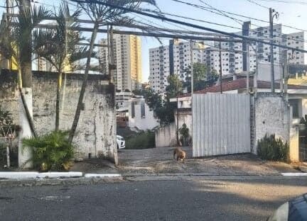AMPLO TERRENO -PLNO DECLIVE - PARQUE MANDAQUI - VENDA
