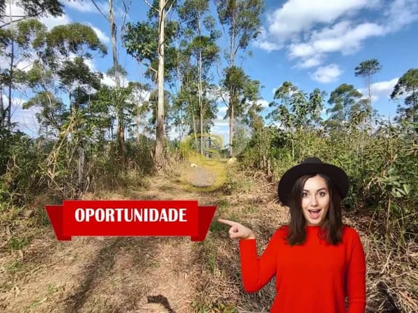 Área Rural À Venda - 211.888 m² - com Escritura - Nazaré Paulista/SP.