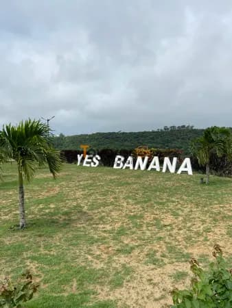 Terreno á venda no Condomínio Yes Banana-PB