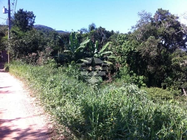 Lote/Terreno em Garopaba - Palhocinha