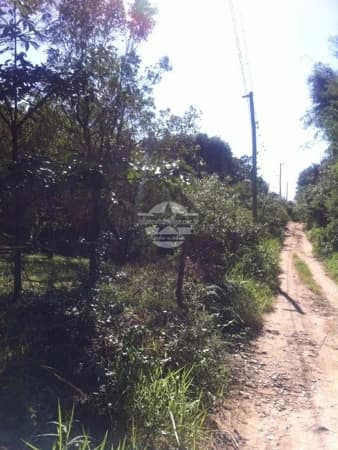 Lote/Terreno em Garopaba - Encantada
