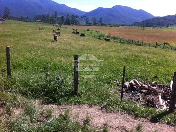 Fazenda/Sítios/Chácaras em Paulo Lopes - Paulo Lopes