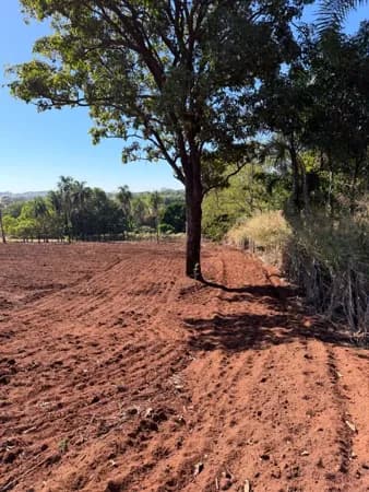 Fazenda/Sítios/Chácaras em Goiânia - Sítios de Recreio dos Bandeirantes