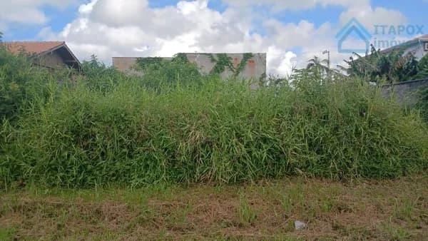 Terreno Lote em Barra do Itapocú, Araquari/SC