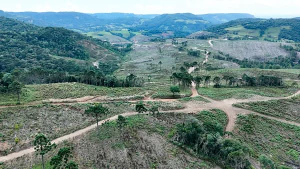 FAZENDA À VENDA COM REFLORESTAMENTO NA SERRA CATARINENSE