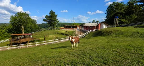 Sítio à venda com 3.3 hectares em Agronômica - SC