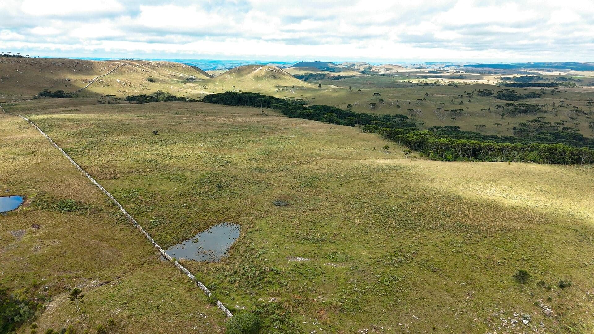 Fazenda à venda na Coxilha Rica, Lages/SC