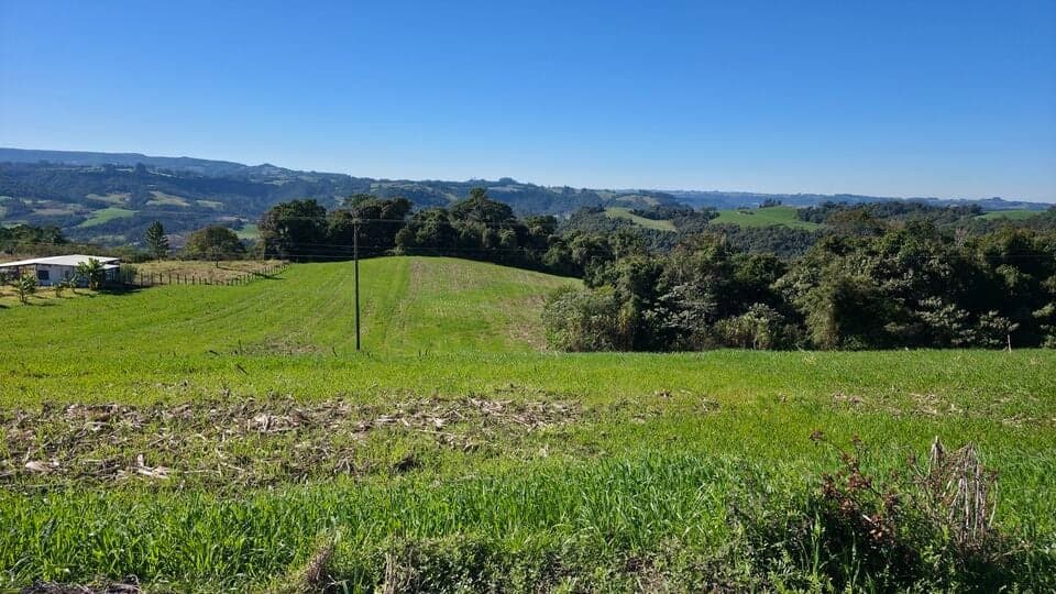 Terreno Rural 5.1 Hectares à Venda em Santa Teresa, Aurora/SC