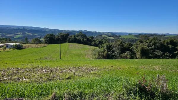 Terreno Rural 5.1 Hectares à Venda em Santa Teresa, Aurora/SC