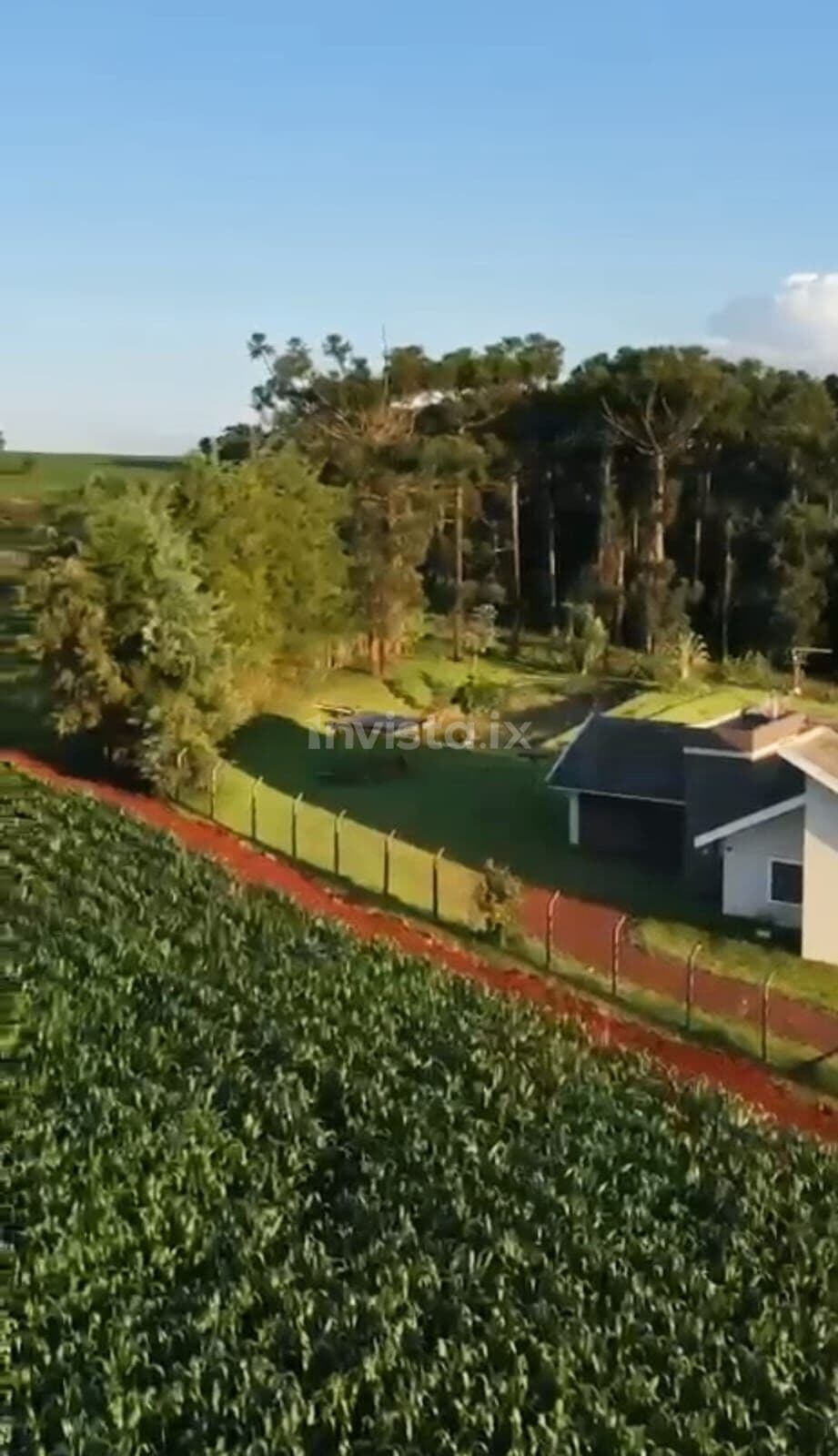 Lote/Terreno em Toledo - Pinheirinho