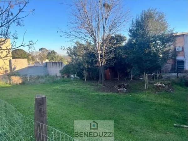 Lote/Terreno em Espumoso - Centro
