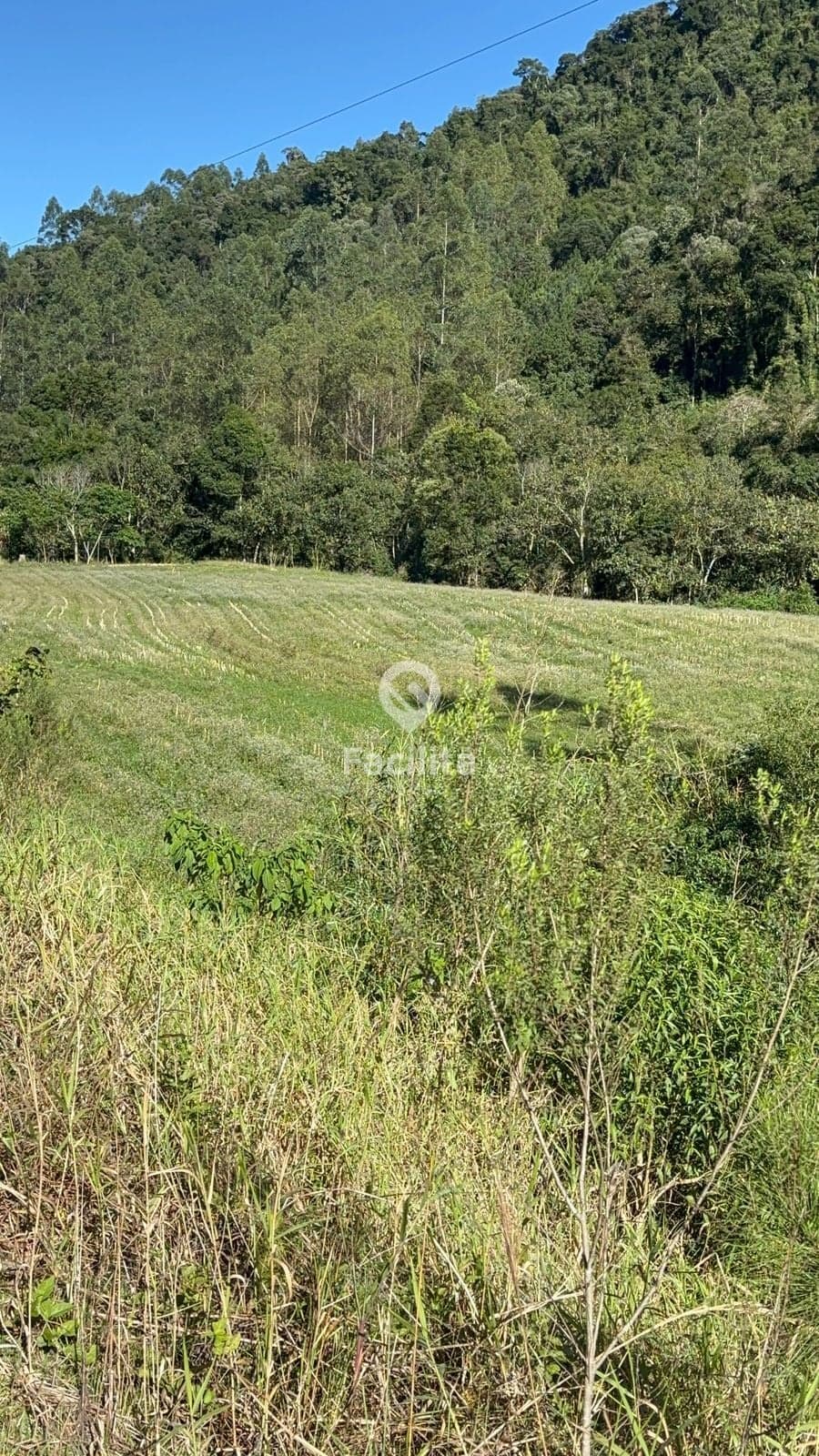 Terreno Rural