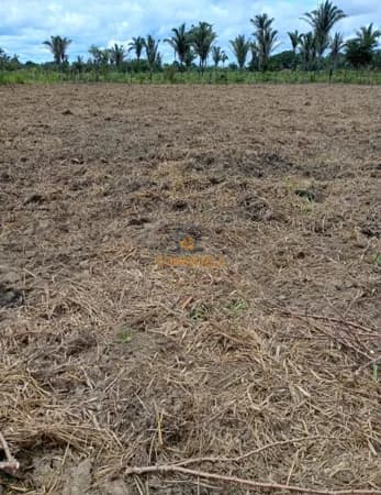 Fazenda/Sítios/Chácaras em Porto Velho - Ulisses Guimarães