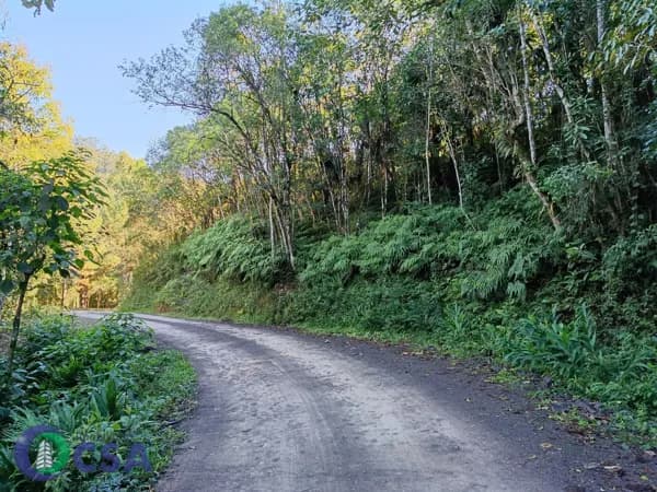 Fazenda/Sítios/Chácaras em Doutor Pedrinho - Forcação