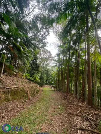 Sítio em Pomeranos, Rio dos Cedros/SC
